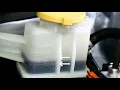 Subaru Checking Fluids Power Steering Fluid
