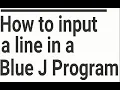 How to Input a Line And Print it in Java Blue J Program