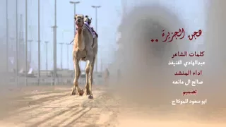 شيله هجن الجزيره   اداء المبدع صالح ال مانعه دندنها