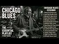 Buddy Guy Chicago Blues Nights 🎸 Soulful Guitar & Vintage Blues