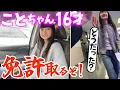 Lagu 16歳のことちゃんが免許取得に挑戦！もうそんな年かよ…嘘だろ…