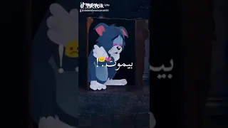 اغنيه محطوط و القلب شايل بيموت 