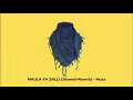 Download Lagu Maula ya Salli - Muza (Slowed+Reverb) | Arabic Nasheed | Astroboy Musick