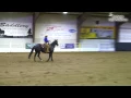 Lisa Reiter & Doc Shiney Amber - NRCHA NP Ltd Bridle Spectacular boxing - May 17, 2015