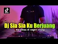 Download Lagu DJ SIA SIA KU BERJUANG MERANTAU DI NEGERI ORANG REMIX VIRAL TIKTOK FULL BASS