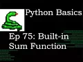 Python Basics Sum