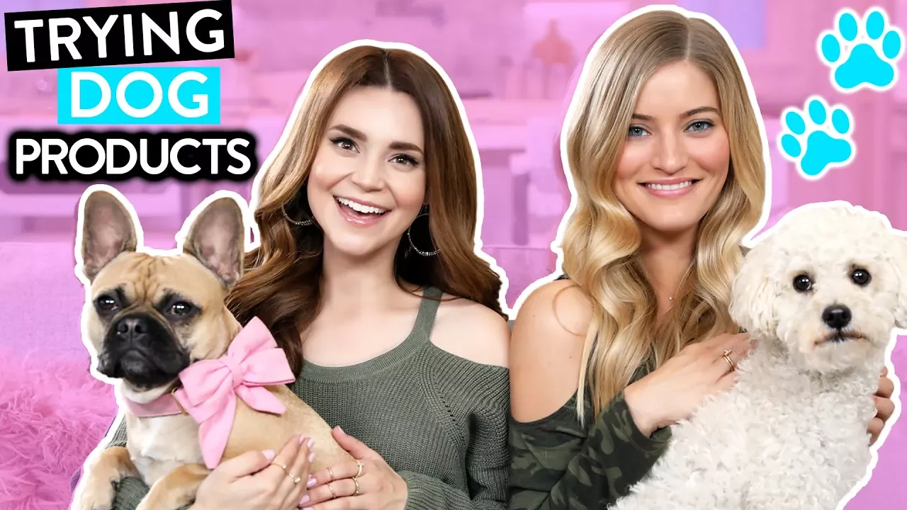 TRYING FUN DOG PRODUCTS w/ iJustine!