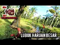 Download Lagu CASTING HARUAN | DATANG SINI MESTI STRIKE BERTUBI TUBI | DAIWA SALAMNDURA SV | VLOG611