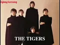 Download Lagu The Tigers - Smile For Me