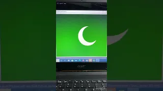 Python Pakistan Flag Turtle graphics