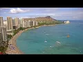 Box jellyfish advisory issued for Waikiki Beach