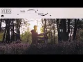 Catching Flies - Ojai [Official Audio]