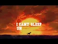 TEBEY Blinding Lights (Country Version) Lyric Video