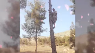 وفيق حبيب مابدفع كاش 