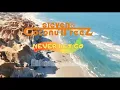Steven \u0026 Coconuttreez - Never Let Go - (Official Lyric Video)