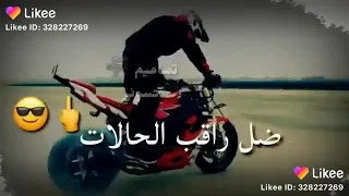 ال ابالي  ضل متابع  دندنها