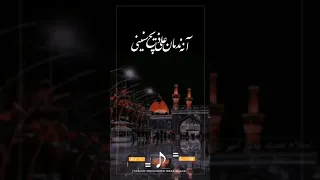 الرادود الحسینی مرتضی حرب 