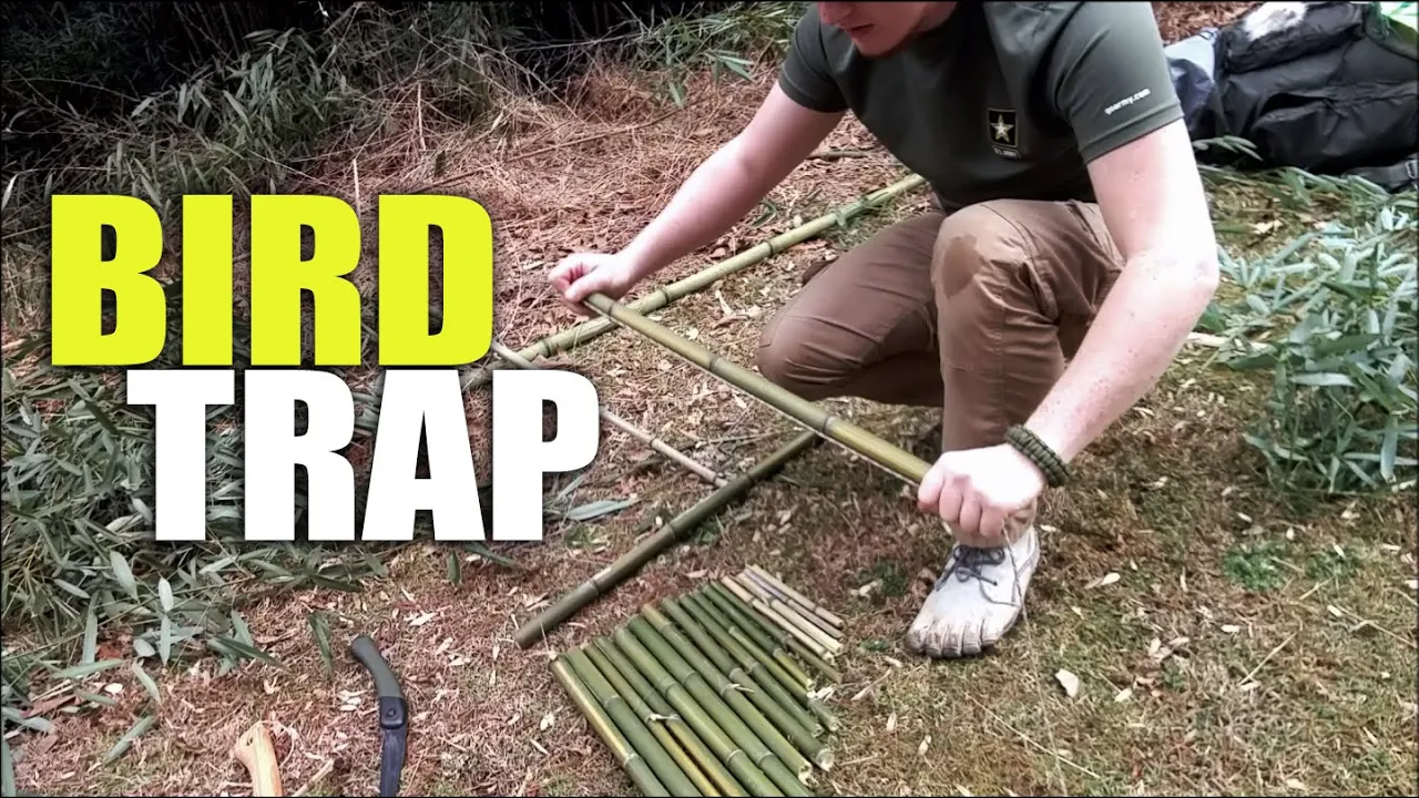 How To Make An Arapuca Bird Trap W/ Woogles Outdoors