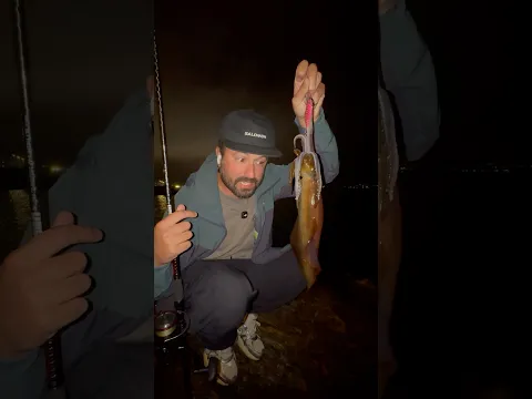 ¿Cuántos calamares he pescado? El mejor día de mi vida 🦑