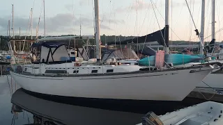 Wildly Intrepid Sailing Family News