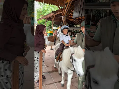 Rafasyah naik kuda poni