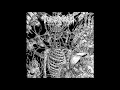Tomb Mold - Twisted Trail