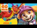 Lagu PAW Patrol: Drachenabenteuer \u0026 Rettungen! 🐉 1 Stunde | Nick Jr. | Nick Jr. Deutschland