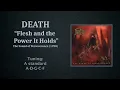 Death - Flesh and the Power It Holds (bass cover with tab)