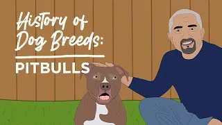 History of Dog Breeds Pitbulls