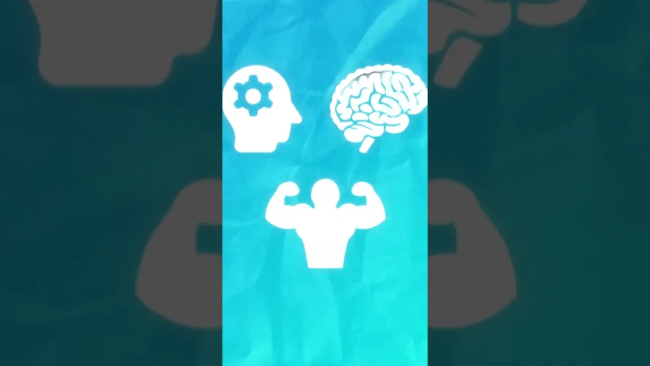 Redvector - Video Editing Showcase