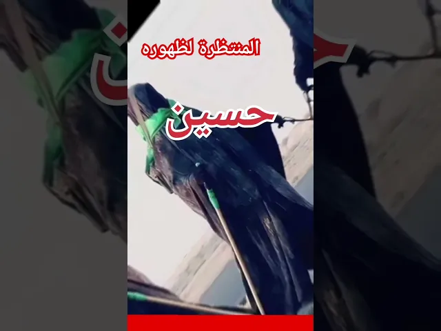 ⁣قرب وقت الزيارة والگلب یمك#من البحر_الى النحر #مشاية_الاربعين#الجنامي