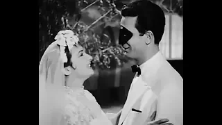 شادية شباكنا ستايره حرير 