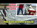 Download Lagu PROSES PEMBUATAN GARAM DI MADURA | PETANI GARAM SUKSES