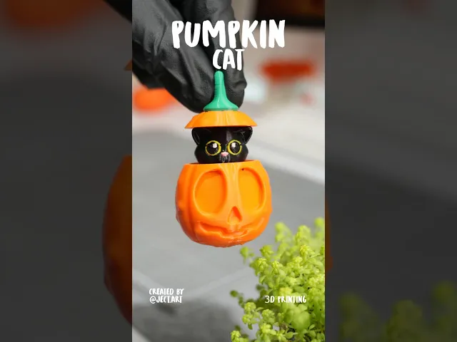 CAT.stl video thumbnail