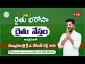 Download Lagu Hon’ble CM Revanth Reddy participates in Rythu Nestham program at Rajiv Gandhi Statue| Rythu Bharosa