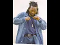 WAYNE SMITH UNDER MI SLENG TENG