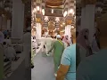 Download Lagu Qaseeda Burda shareef Masjid Nabwi. #madina #hajj2023