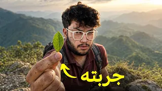 اكتشفت سر اغلى شاي بالعالم (1.2M$ للكيلو)