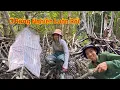 Download Lagu Cuộc Sống Trong Rừng Tìm Kiếm Bữa Ăn Nơi Nhiều Nguy Hiểm