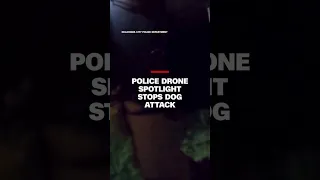 Police drone spotlight stops dog attack