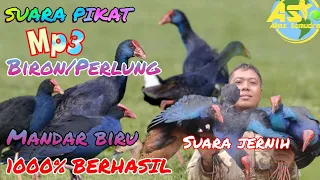 Download COBA MP3 INI🎯LANGSUNG DIKEROYOK BURUNG MANDAR BIRU/BIRON/PERLUNG‼️BIRD TRAPPING✅ MP3