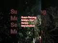 Download Lagu #bukanyoutuber Suara Burung Malam hari Seram Menakutkan