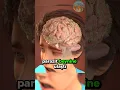 Download Lagu Sadece Bir Sümüklüböcek Yüzünden! 🧠🐌⚠️