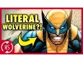 REAL Origin of WOLVERINE X-Men Week Comic Misconceptions NerdSync