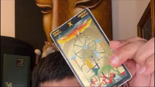 ¡TAROT-LAS CARTAS NO MIENTEN está emitiendo en directo!