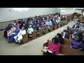 Mercer Bros Live Stream