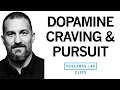 Dopamine System Craving Pursuit Explained Dr Andrew Huberman