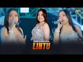 Download Lagu SHINTA ARSINTA - LINTU | Feat. BINTANG FORTUNA (Official Music Video)