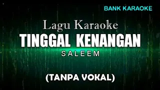 Download TINGGAL KENANGAN - SALEEM (KARAOKE TANPA VOKAL) MP3