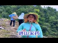 Download Lagu 收徒前要经过师傅的考验，这不秋子跟药师进山采药，涨了很多知识，虽然爬这一趟山很累、但很值得